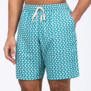 2t Harry Tall Swim Shorts (turquoise)